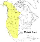 Roger Tory Peterson, George A. Petrides, Olivia Petrides, Olivia Petrides, Roger Tory Peterson - A Field Guide to Western Trees