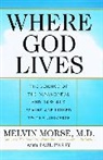 M Morse, Melvin Morse, P Perry, Paul Perry - Where God Lives