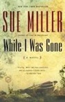 Sue Miller - While I Was Gone