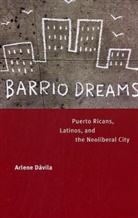 Arlene Davila, Arlene M. Davila, Arlene D&aacute;vila - Barrio Dreams