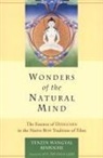 Dalai Lama, Tenzin Wangyal Rinpoche, Tenzin Wangyal - Wonders of the Natural Mind