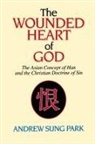 Andrew S. Park - The Wounded Heart of God