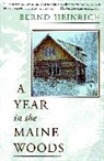 Bernd Heinrich - Year in the Maine Woods