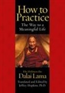 Bstan-Dzin-Rgya, Lama Dalai, Dalai Lama, His Holiness the Dalai Lama, Jeffrey Hopkins - How to Practice