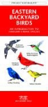 James Kavanagh, Waterford Press, Raymond Leung - Eastern Backyard Birds: An Introduction to Familiar Urban Species