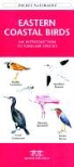 James Kavanagh, Waterford Press, Raymond Leung - Eastern Coastal Birds: An Introduction to Familiar Species