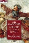 D. A. Carson - The Gagging of God