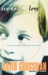 David Grossman - See Under