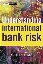 a Fight, Andrew Fight, Fight Andrew - Understanding International Bank Risk