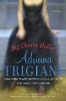 Adriana Trigiani - Big Cherry Holler