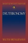 Walter Brueggemann, Walter/ Hiebert Brueggemann - Deuteronomy