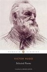 Brooks Haxton, Victor Hugo - Selected Poems