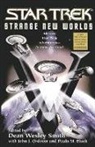 Dean Wesley Smith, Dean Wesley Smith - Strange New Worlds