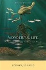 Stephen Jay Gould - Wonderful Life