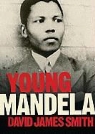 David James Smith, Allyson Johnson - Young Mandela: The Revolutionary Years (Audio book)
