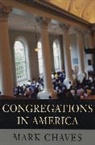 Mark Chaves, Chaves Mark - Congregations in America