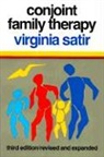 Vieginia M. Satir, Virginia Satir, Virginia M. Satir - Conjoint Family Therapy