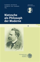 Barbar Neymeyr, Barbara Neymeyr, Andreas U. Sommer, Andreas Urs Sommer, Urs Sommer, Urs Sommer - Nietzsche als Philosoph der Moderne