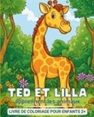 Kenneth Green - Mirrors of Deception