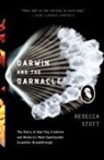 Rebecca Stott - Darwin and the Barnacle