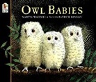 Patrick Benson, Martin Waddell, Martin/ Benson Waddell, Patrick Benson - Owl Babies