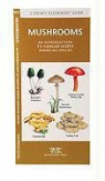 James Kavanagh, Waterford Press, Dr. Raymond Leung, Raymond Leung - Mushrooms