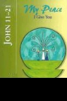 Kevin Perrotta, Kevin Perrotta - John 11-21