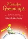 Antoine de Saint-Exupery - A Guide for Grown-Ups