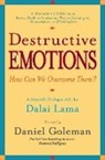 Daniel Goleman, Daniel P. Goleman - Destructive Emotions