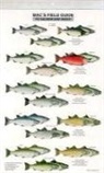 Craig MacGowan - Mac's Field Guides: North American Salmon & Trout