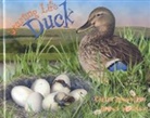 Claire Llewellyn, Simon Mendez - Duck Starting Life
