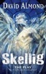 David Almond, Almond David - Skellig The Play
