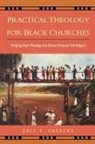 Dale P. Andrews - Practical Theology for Black Churches