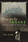 Alex Beam - Gracefully Insane