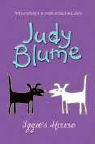 Judy Blume, Blume J - Iggie's House