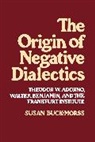 Susan Buck-Morrs, Susan Buck-Morss, Buck-Morss Susan - Origin of Negative Dialectics