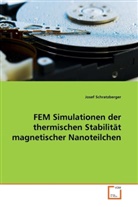 Josef Schratzberger - FEM Simulationen der thermischen Stabilität magnetischer Nanoteilchen