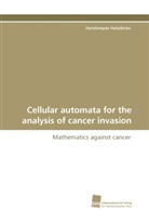 Haralampos Hatzikirou - Cellular automata for the analysis of cancer invasion