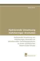 Fehime Demir - Hydrierende Umsetzung mehrkerniger Aromaten
