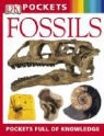 Dk Publishing, Douglas Palmer - Fossils