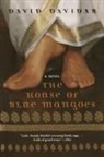 David Davidar - The House of Blue Mangoes