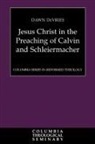 Dawn De Vries, Dawn DeVries - Jesus Christ in the Preaching of Calvin and Schleiermacher