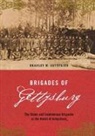 Bradley Gottfried, Bradley M. Gottfried - Brigades of Gettysburg