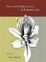 Steve Shavel - How Small Brides Survive in Extreme Cold