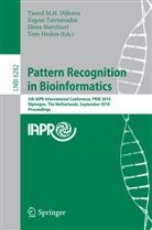 Tjeerd M. H. Dijkstra, Tjeerd M.H. Dijkstra, Tom Heskes, Elena Marchiori, Evgeni Tsivtsivadze - Pattern Recognition in Bioinformatics