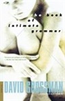 Grossman David, David Grossman - The Book of Intimate Grammar