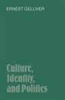 Ernest Gellner - Culture, Identity and Politics