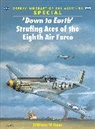 William N Hess, William N. Hess, Chris Davey - ‘Down to Earth' Strafing Aces of the Eighth Air Force