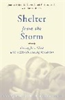 Joanne Hilden, Hilden Joanne, Karen Lindsey, Lindsey Karen, Daniel Tobin, Daniel Hilden Tobin... - Shelter From the Storm