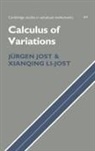 Jurgen Jost, Xianqing Li Jost, Xianqing Li-Jost - Calculus of Variations